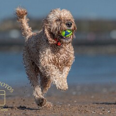 Morecambe Beach
