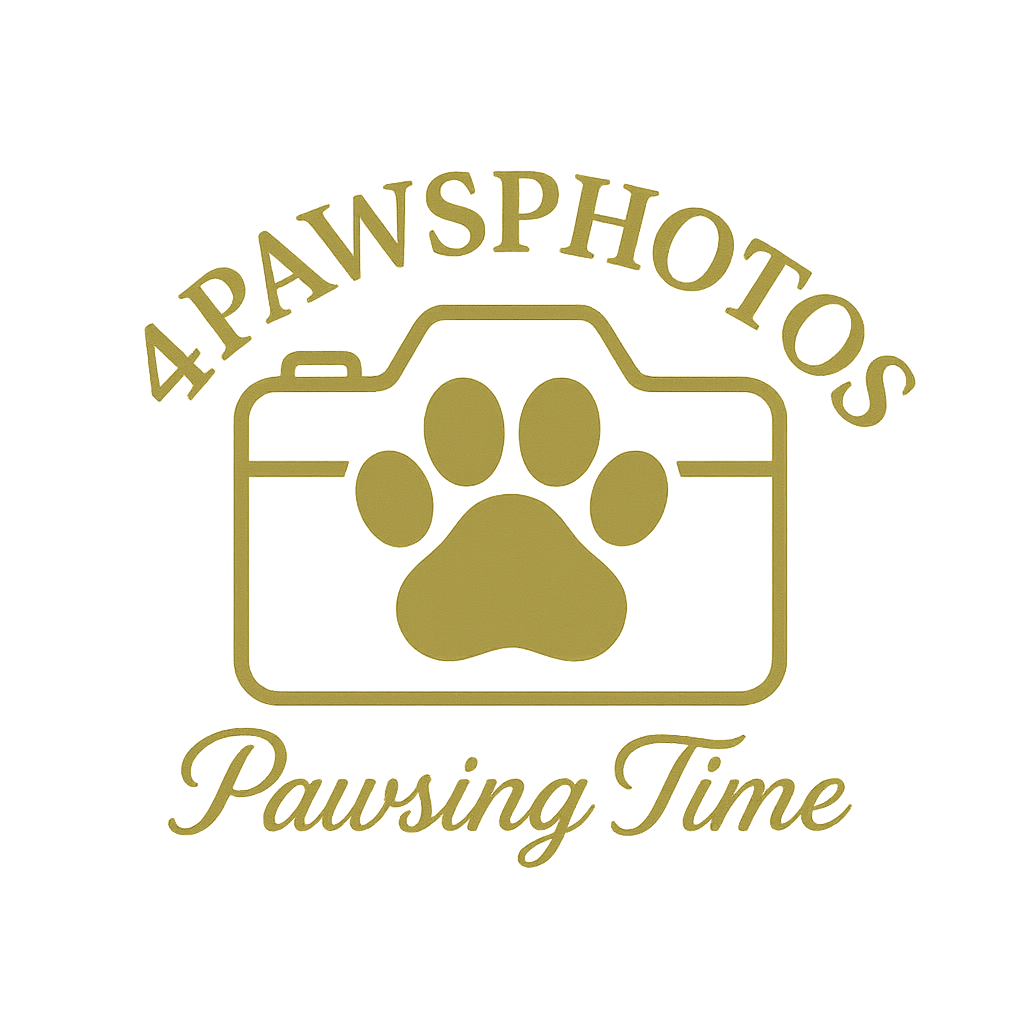 4PawsPhotos Logo Design (1)