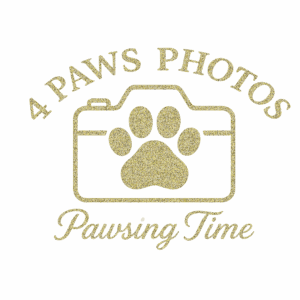 4PawsPhotos Logo